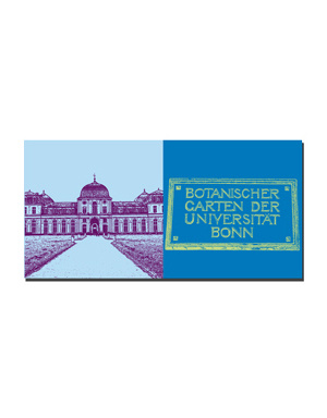 ART-DOMINO® BY SABINE WELZ Bonn - Château de Poppelsdorf + Jardin botanique