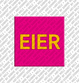MAGNET-STORIES Aimant - EIER