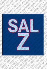 MAGNET-STORIES Salz – Magnet mit Salz