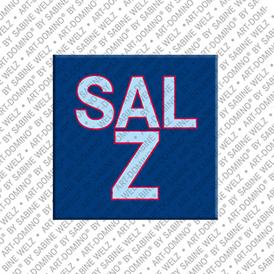 ART-DOMINO® BY SABINE WELZ Salz – Magnet with Salz