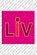 MAGNET-STORIES Liv - Aimant avec le nom Liv