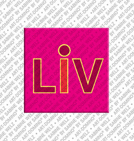 MAGNET-STORIES Aimant - LIV