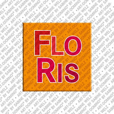 MAGNET-STORIES Floris - Magnet with the name Floris