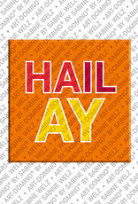 ART-DOMINO® BY SABINE WELZ Hailay - Magnet with the name Hailay