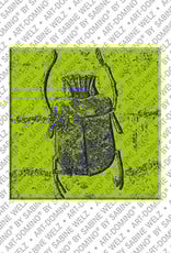 MAGNET-STORIES Ägypten - Skarabäus aus dem Grab Merenptah