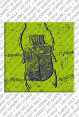 MAGNET-STORIES Egypt - Scarab from the Merenptah tomb