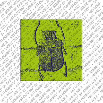 MAGNET-STORIES Egypt - Scarab from the Merenptah tomb