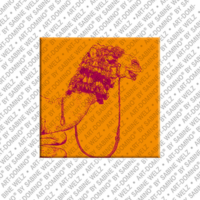 MAGNET-STORIES Egypt - Camel in the Nubier village