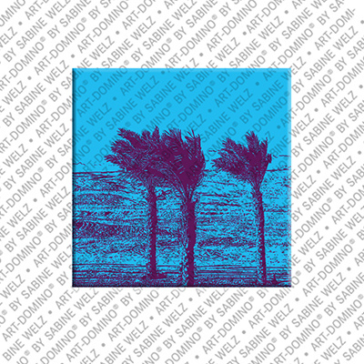 MAGNET-STORIES Egypt - Desert on the Red Sea