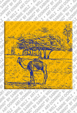 MAGNET-STORIES Ägypten - Dromedar am Nilufer