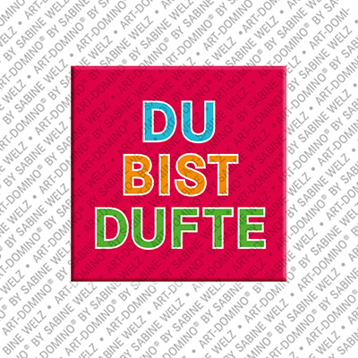 ART-DOMINO® BY SABINE WELZ Du bist Dufte - Magnet mit Text