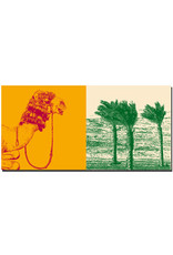 MAGNET-STORIES Egypt - Kamel im Nubier Dorf + Wüste am Roten Meer