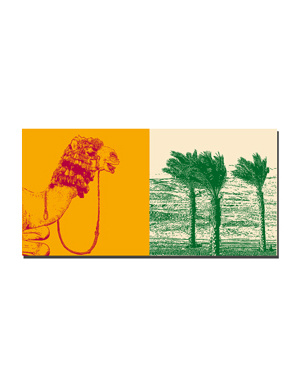 MAGNET-STORIES Egypte - Kamel im Nubier Dorf + Wüste am Roten Meer