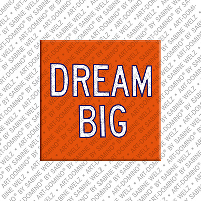 MAGNET-STORIES New York – Dream-Big-Sign