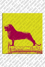 MAGNET-STORIES Braunschweig – Braunschweiger Löwe