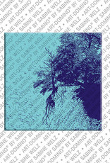 MAGNET-STORIES Rügen - Küste Kreidefelsen + entwurzelter Baum