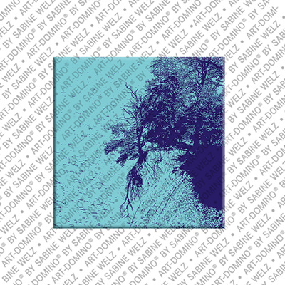 MAGNET-STORIES Rügen - Küste Kreidefelsen + entwurzelter Baum