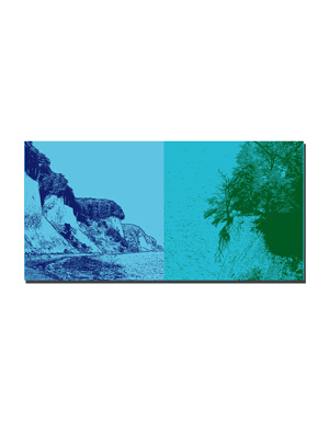 MAGNET-STORIES Rügen - Küste mit Kreidefelsen + Kreidefelsen und entwurzelter Baum