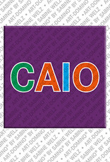 ART-DOMINO® BY SABINE WELZ CAIO - Magnet with the name CAIO