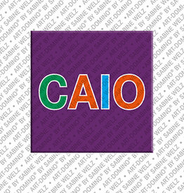 ART-DOMINO® BY SABINE WELZ Magnet - CAIO