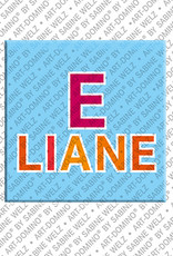 ART-DOMINO® BY SABINE WELZ ELIANE - Magnet with the name ELIANE