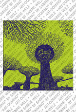 MAGNET-STORIES Singapur – Gardens by the Bay - 2