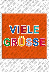 MAGNET-STORIES  VIELE GRÜSSE - Aimant  VIELE GRÜSSE