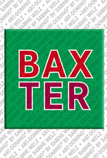 ART-DOMINO® BY SABINE WELZ BAXTER - Magnet with the name BAXTER