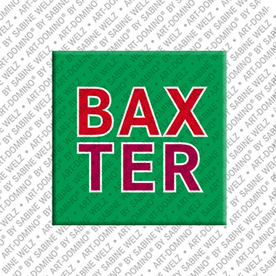 ART-DOMINO® BY SABINE WELZ BAXTER - Magnet with the name BAXTER