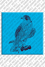 MAGNET-STORIES Abu Dhabi – Falcon 1