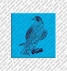 MAGNET-STORIES Aimant - Emirats Arabes Unis - Abu Dhabi - 09