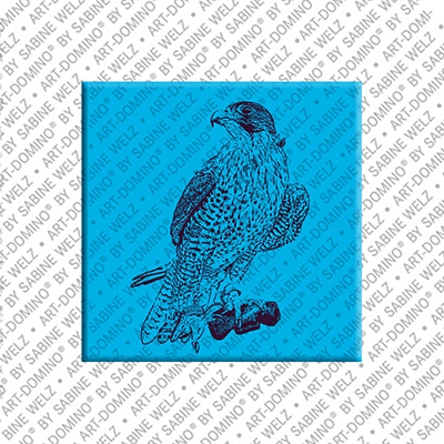 MAGNET-STORIES Abu Dhabi – Falke 1