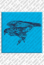 MAGNET-STORIES Abu Dhabi – Falke 2