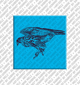 MAGNET-STORIES Magnet - United Arab Emirates - Abu Dhabi - 10