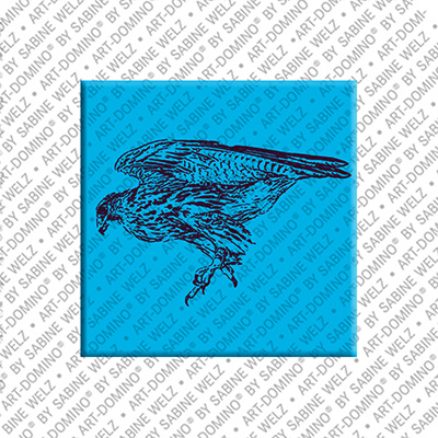 MAGNET-STORIES Abu Dhabi – Falke 2