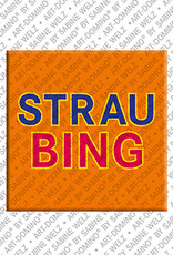 MAGNET-STORIES Straubing - Schriftzug