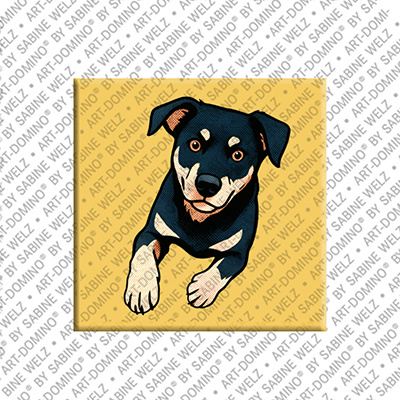 MAGNET-STORIES Magnet - Hund - 2