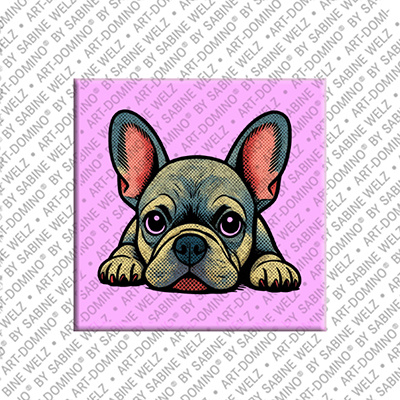 MAGNET-STORIES Magnet - Hund
