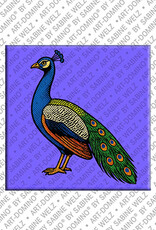 MAGNET-STORIES Magnet - Pfau