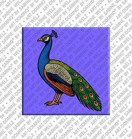 MAGNET-STORIES Magnet - Pfau