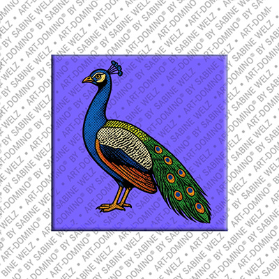 MAGNET-STORIES Magnet - Pfau