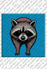 MAGNET-STORIES Magnet - Waschbär