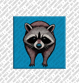 MAGNET-STORIES Magnet - Waschbär