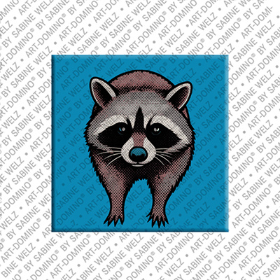 MAGNET-STORIES Magnet - Waschbär