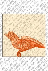 MAGNET-STORIES Ulm – Ulmer Spatz