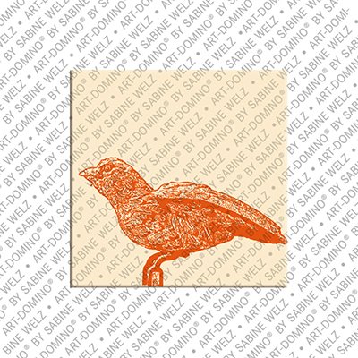 MAGNET-STORIES Ulm – Ulmer Spatz