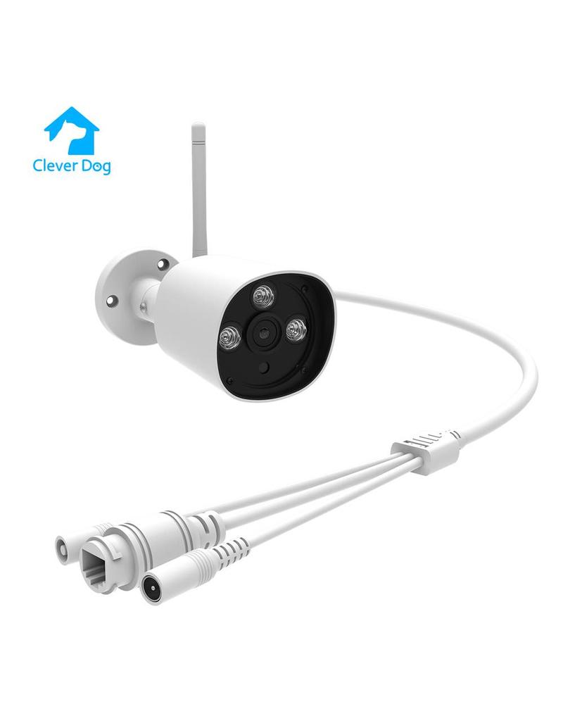outdoor clever dog camera