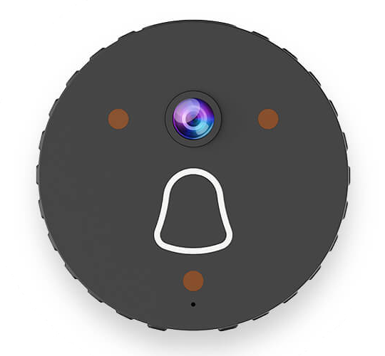 amazon cat fountain filters