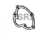 Opel Seal ring waterpump A17DT A17DTC A17DTI A17DTJ A17DTL A17DTR A17DTS Y17DT Z17DTL Z17DTH Z17DTJ Z17DTR