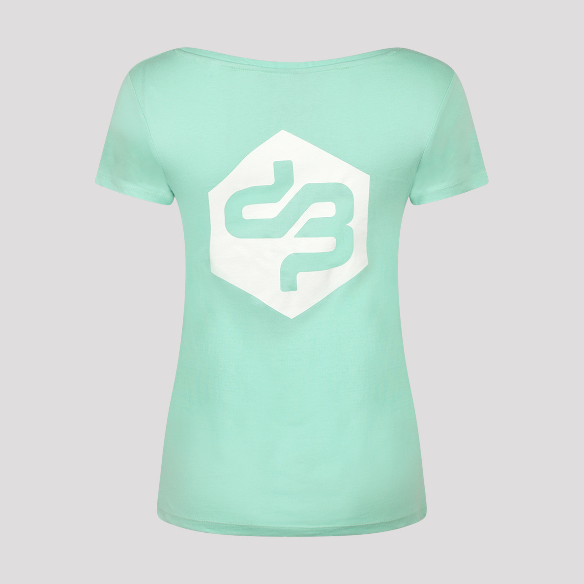 Decibel t-shirt mint/white - B2S